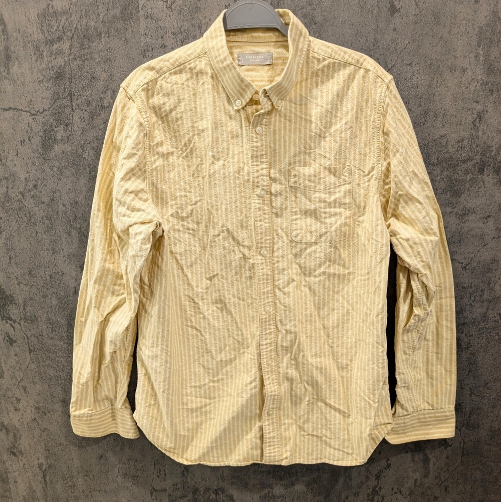 Like New! Everlane Classic Oxford Organic Cotton Stripe Button Up Shirt